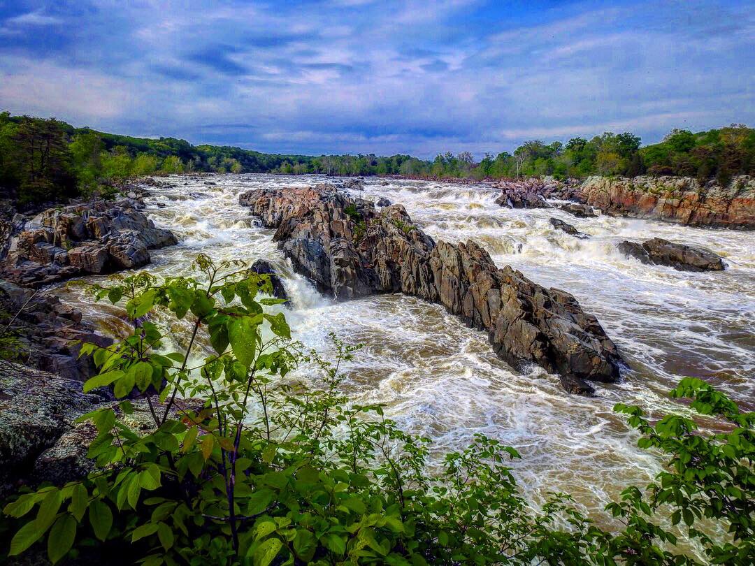 05CAA603-961D-4D2F-AEFD-2A4735676013